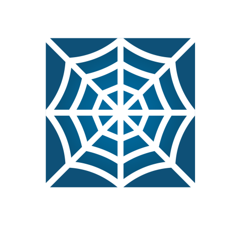 Graphisches Element - Spinnennetz