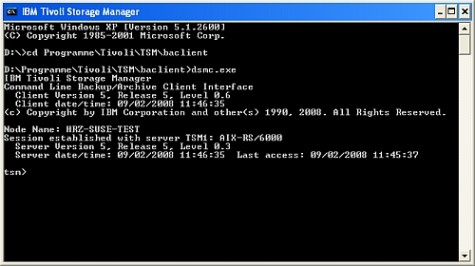 Screenshot: Kommandozeilen-Client in Windows