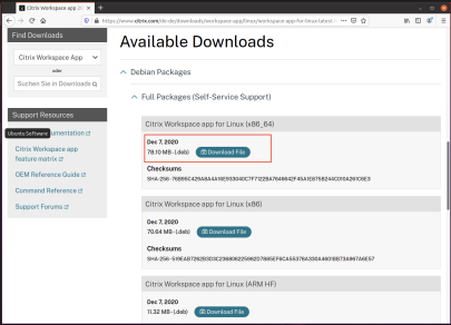 Screenshot Workspace-App_Ubuntu-Browser-Markierung_Auswahl_Download_File Workspace-App
