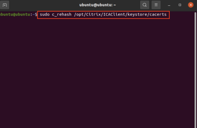 Screenshot Workspace-App_Ubuntu-Kommandozeile-Markierung_sudo-Befehl_Aktivierung_Aenderung_Verlinkung_Zertifikate