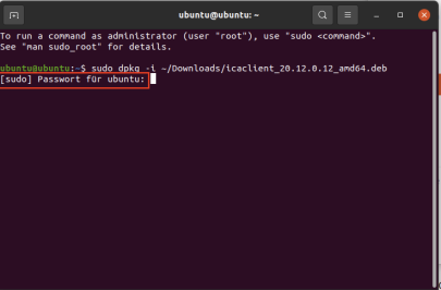 Screenshot Workspace-App_Ubuntu-Kommandozeile-Markierung_sudo-Befehl_Installation_WorkspaceApp-Passworteingabe