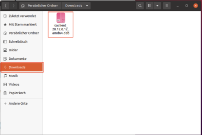 Screenshot Workspace-App_Ubuntu-Ordner_Downloads-Markierung_Datei