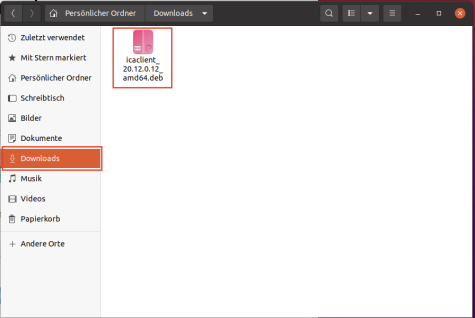Screenshot Workspace-App_Ubuntu-Ordner_Downloads-Markierung_Datei